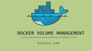 Read more about the article Docker Tutorial – Docker Volume Management